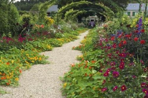 土壤養分速測儀在園林測肥方面的應用